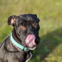 Photo of Louella