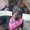 Photo of Roxy