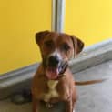 Photo of Storm