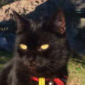 Photo of Tennyson~Best Friend For Life