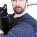 Photo of Delilah ~ 6 Mo Female Cat (On Trial 25/08/20)