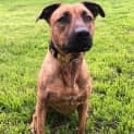Photo of Narla