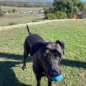 Photo of Holly