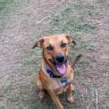 Photo of Lacey