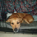 Photo of Jazz