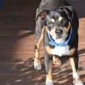 Photo of Miico