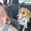 Photo of Harley