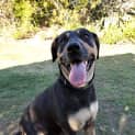 Photo of Roxie