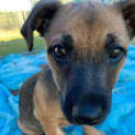 Photo of Sookie