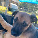 Photo of Sookie