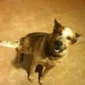 Photo of Mack