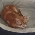 Photo of Fred