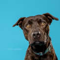 Photo of Derby