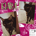 Photo of Kiara