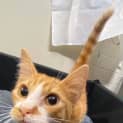 Photo of Quasi