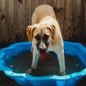 Photo of Leaha
