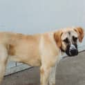 Photo of Leaha