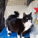 Photo of Macey
