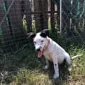 Photo of Addie