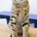 Photo of Pablo