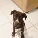 Photo of Winston