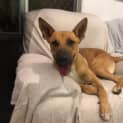 Photo of Gus