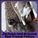 Photo of Jackson And Arizona 