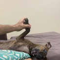 Photo of Molly