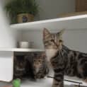 Photo of Mimi & Macy (Mum & Daughter)