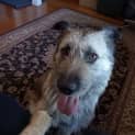 Photo of Tess