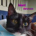 Photo of Merri