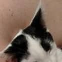 Photo of Jynx