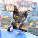 Photo of Lena