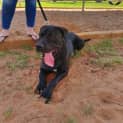 Photo of Odin
