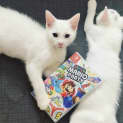 Photo of Tetley