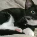 Photo of Soraia