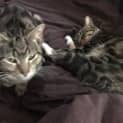 Photo of Belle