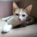 Photo of Aurielle