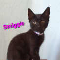Photo of Smiggle