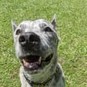 Photo of Tess