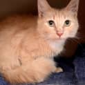 Photo of Sandy