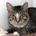 Photo of Bill Sua006018