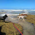 Photo of Alaska