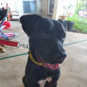 Photo of Nigel