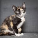 Photo of Zoe