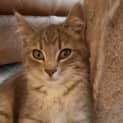 Photo of Eve