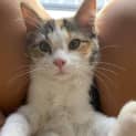 Photo of 🌻 Octavia 🌻