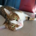 Photo of Elsa