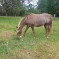 Photo of Tiny