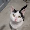 Photo of Barry